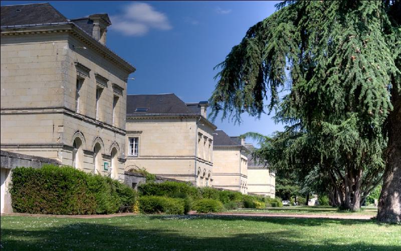 Готель Domaine De Roiffe Екстер'єр фото